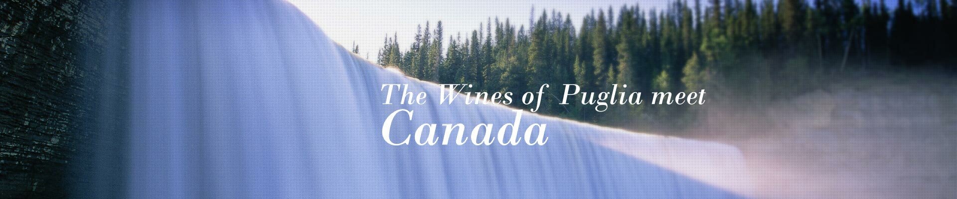 The Wines of Puglia meet Canada The Wines of Puglia meet Canada