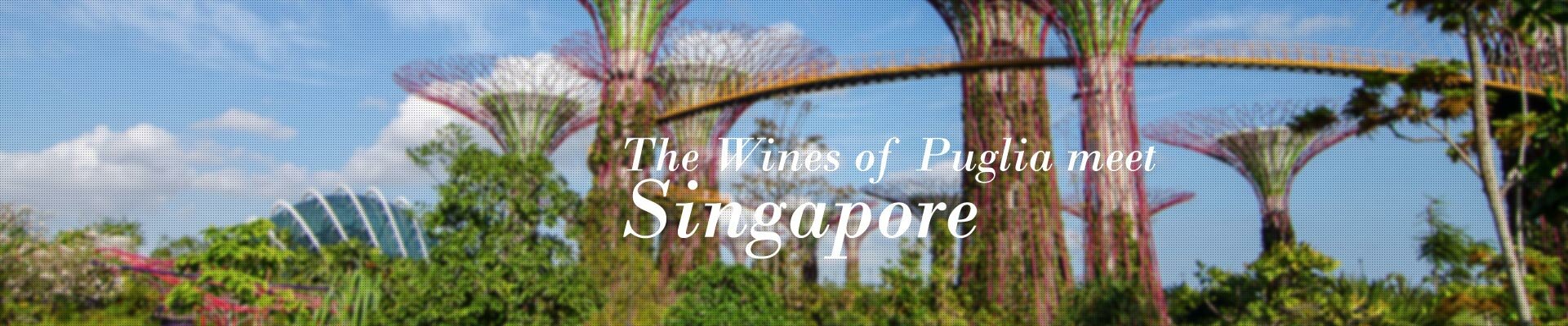 The Wines of Puglia meet Singapore The Wines of Puglia meet Singapore