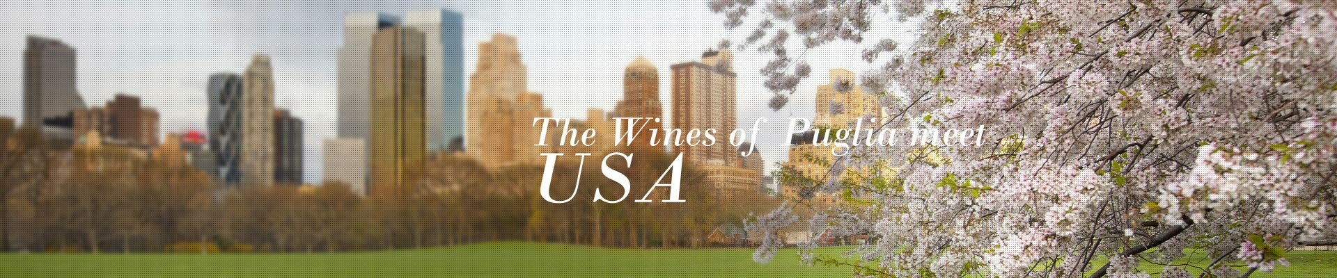 The Wines of Puglia meet Usa The Wines of Puglia meet Usa