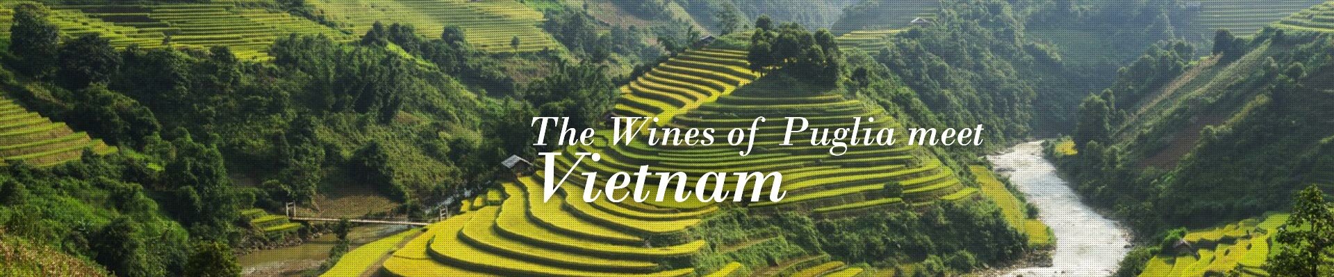 The Wines of Puglia meet Vietnam The Wines of Puglia meet Vietnam